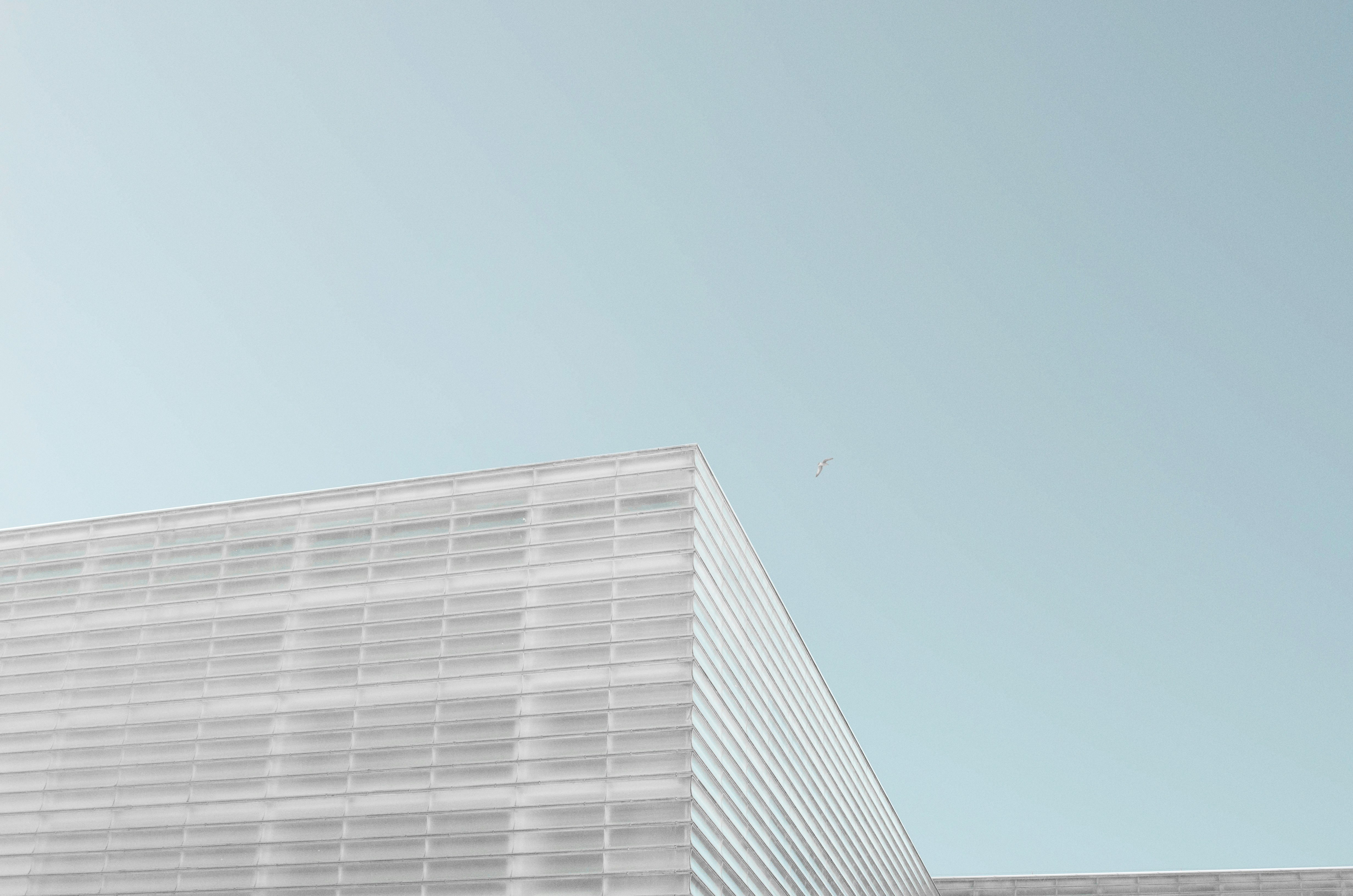 世界地図を背景に、YouTubeやTwitchのアイコンとドルマークが浮かんでいる構図