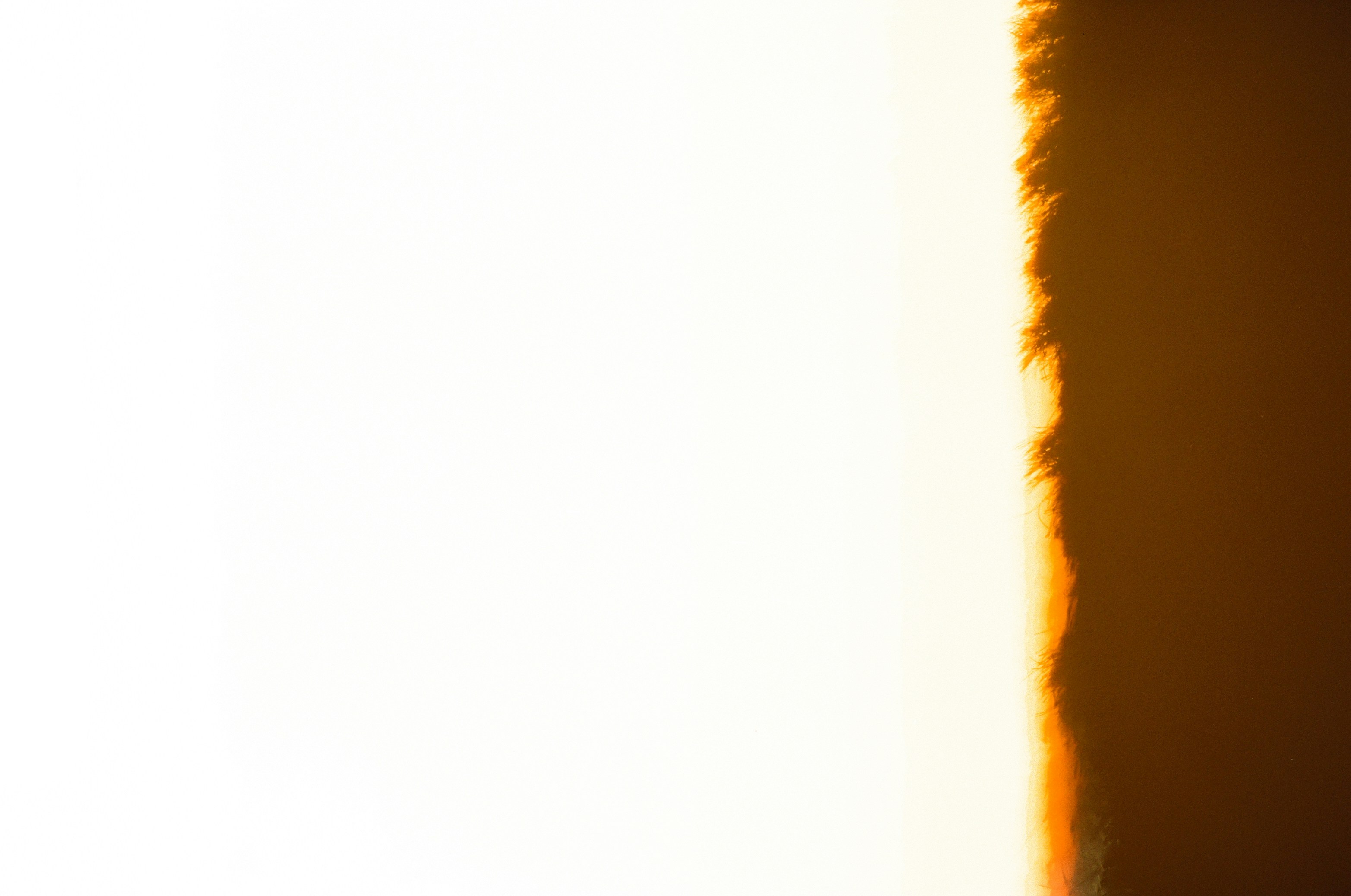 SNS（InstagramやPinterest）に投稿されたCanvaテンプレートのサンプル画像が並ぶ画面