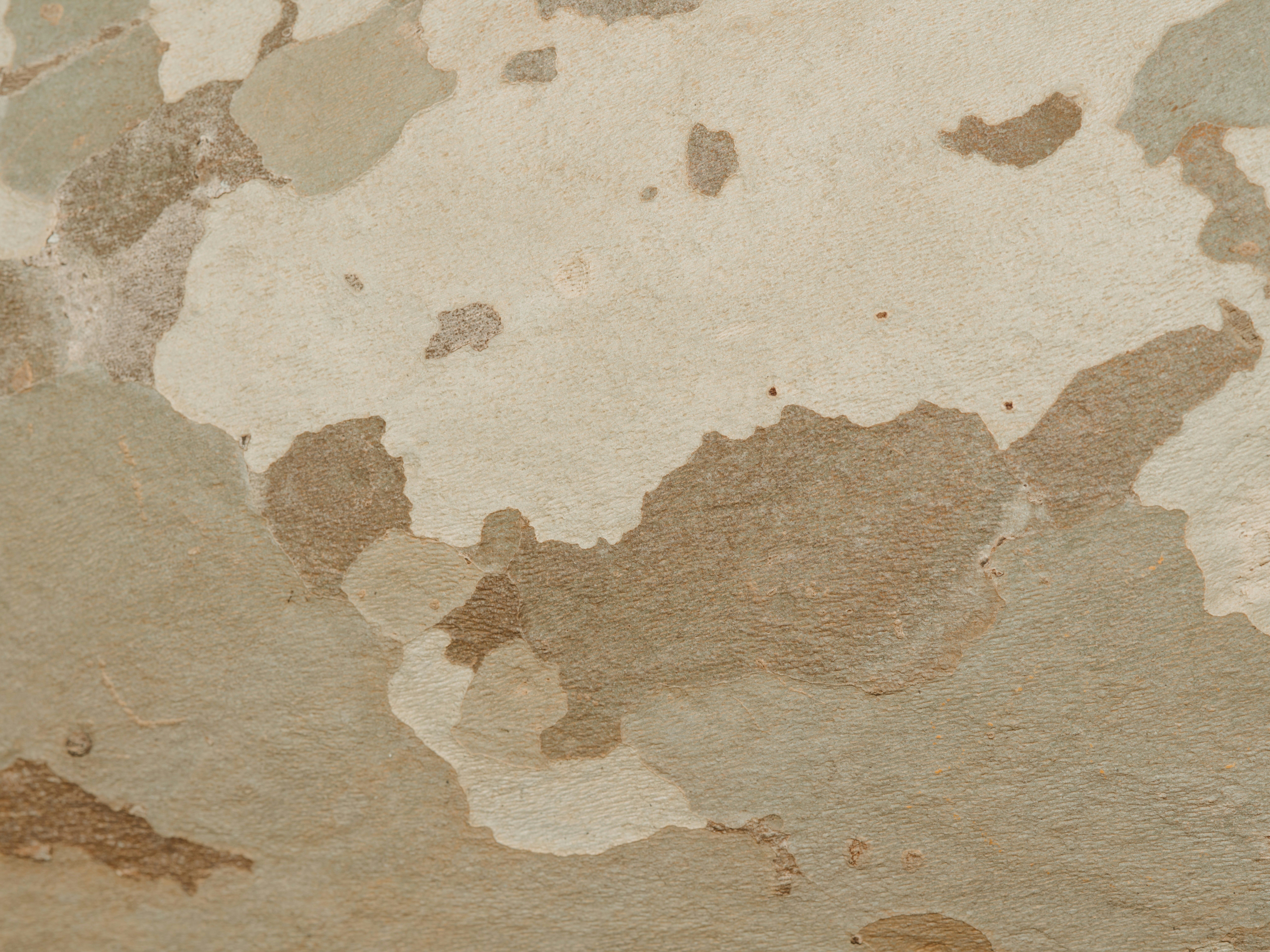 Amazonの売れ筋ランキングを表示するパソコン画面と、それを分析する人の手元