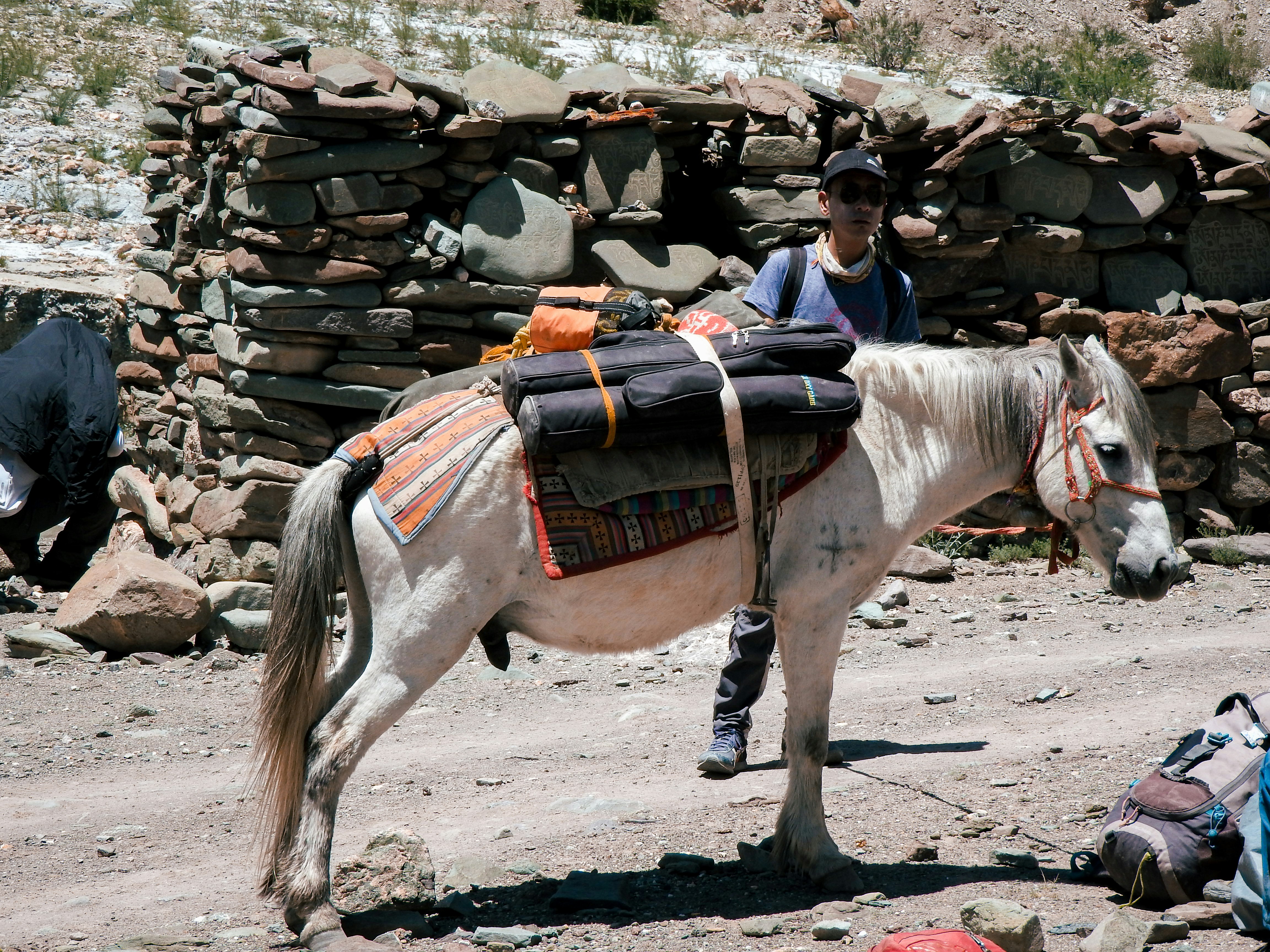 カフェでパソコンに向かい作業しているノマドワーカーのイメージ