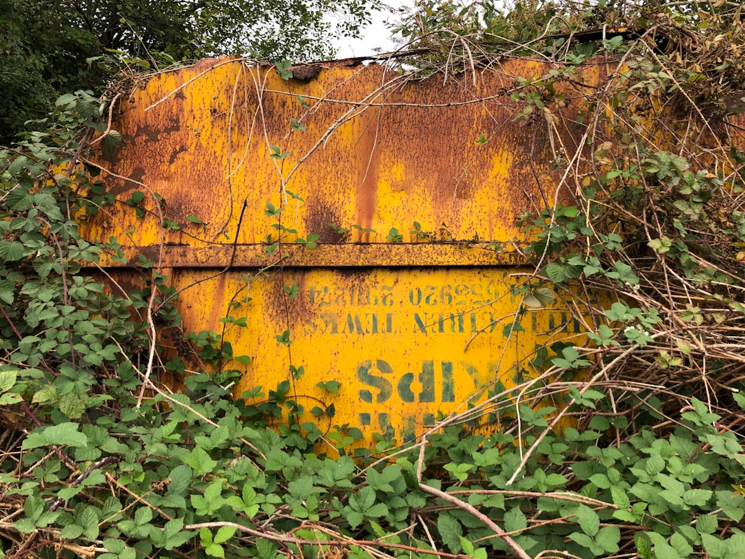 都心のオフィスビル群と、自然豊かな田園風景が組み合わさったイメージ