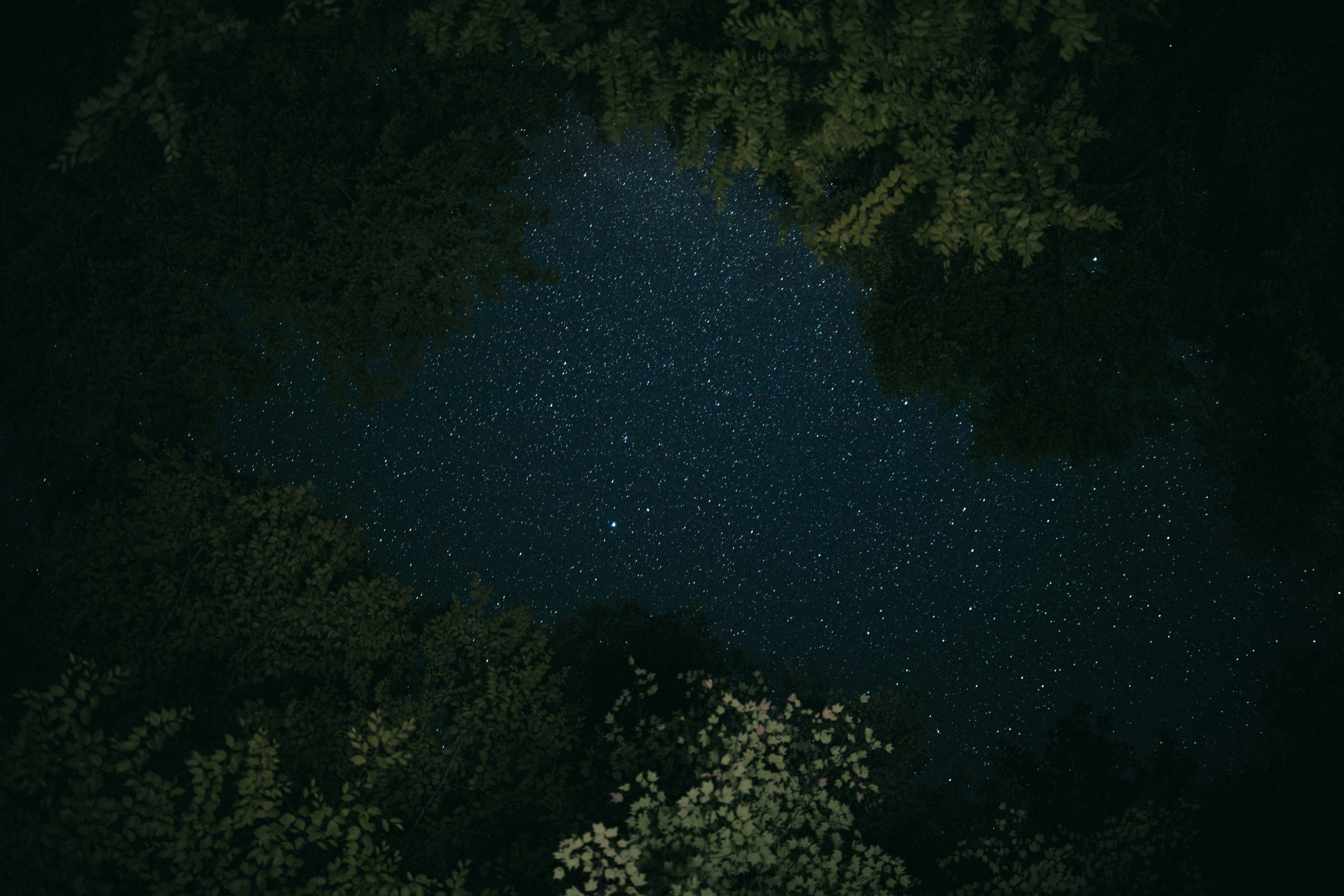 メタバース内で開かれる仮想イベント会場のイラスト