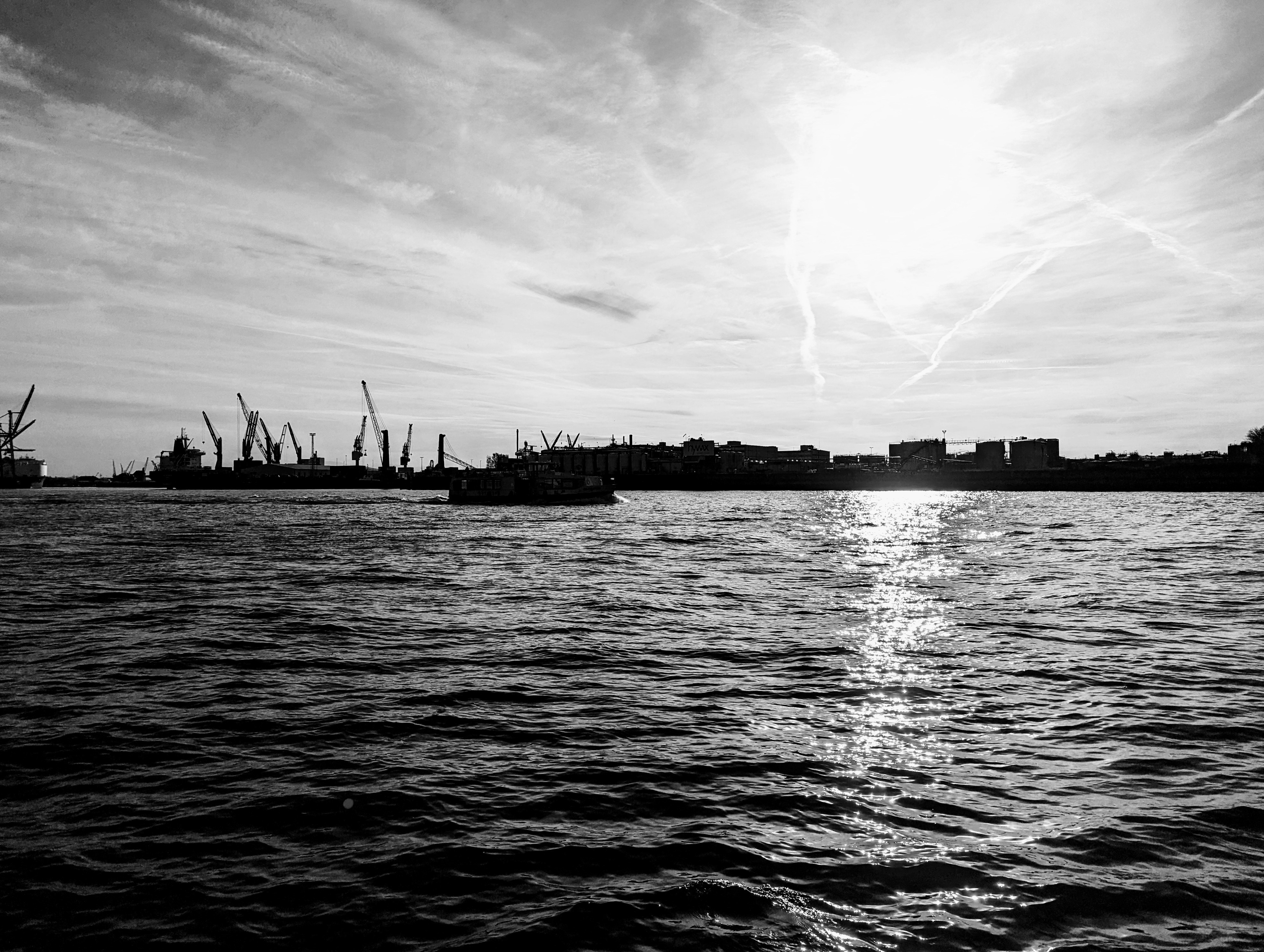 確定申告に関する書籍やウェブサイトを紹介する画面